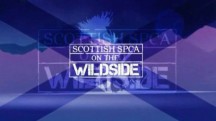 Шотландское общество защиты животных 08 серия / Sottish SPCA (2010)