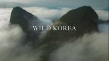 Дикая Корея 1 серия. Голос природы / Wild Korea Return of the wild (2018)