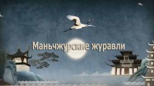 Маньчжурские журавли / Manchurian Cranes (2015)