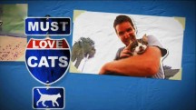 Кошек не любить нельзя 5 серия / Must Love Cats (2010)