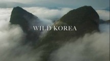 Дикая Корея 2 серия. За границей / Wild Korea Return of the wild (2018)