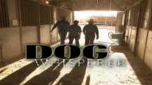 Переводчик с собачьего 7 сезон 04 серия / Dog Whisperer with Cesar Millan (2011)