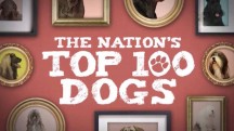 100 самых популярных пород собак 2 серия / The Nation's Top 100 Dogs (2017)