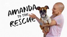 Центр реабилитации Аманды 5 серия. Дом для слепого щенка / Amanda to the Rescue (2018)