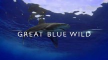 Великое подводное приключение у острова Косумель / Great Blue Wild (2015)