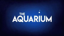 Океанариум 1 серия / The Aquarium (2019)
