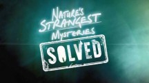 Секреты природы 9 серия. Осьминог-Гудини / Nature's Strangest Mysteries: Solved (2019)