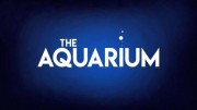 Океанариум: 10 серия / The Aquarium (2019)