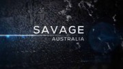 Суровая Австралия 2 серия. Крокодилы / Savage Australia (2019)