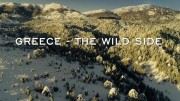 Дикая природа Греции 1 серия. Взгляд с высоты богов / Greece The Wild Side (2019)