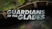 Хранители болот Эверглейдс 01 серия / Guardians of the Glades (2019)