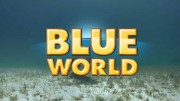 Подводный мир 01 серия. Игра с тигровыми акулами. Подводные пещеры на Багамах / Blue World (2016)