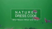 Дресс-код в дикой природе. Кто что носит и почему? / Nature's Dress Code - Who Wears What and Why (2019)