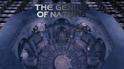 Гении природы 1 серия. Органы чувств / The Genius of Nature (2012)