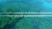 На морской глубине: Большой барьерный риф 2 серия / Under The Sea: The Great Barrier Reef (2018)