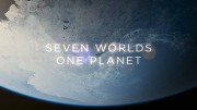 Семь миров, одна планета 1 серия. Антарктика / Seven Worlds, One Planet (2019)