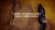 Страна чудесных ископаемых 3 серия. Оранжерея млекопитающих / Fossil Wonderlands: Nature's Hidden Treasures (2014)