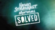 Секреты природы: 23 серия. Зебра без полосок / Nature's Strangest Mysteries: Solved (2019)