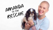 Центр реабилитации Аманды 2 сезон 2 серия / Amanda to the Rescue (2019)