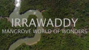 Дельты великих рек. Иравади / Deltas of the World. Irrawaddy Mangrove World Of Wonders (2018)