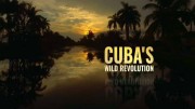 Живая природа Кубы / Cuba's Wild Revolution (2019)