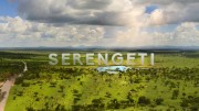 Серенгети 1 серия. Судьба / Serengeti (2019)