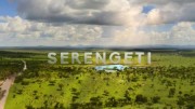 Серенгети 6 серия. Возрождение / Serengeti (2019)