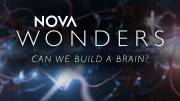 Можем ли мы создать искусственный интеллект? / Nova Wonders: Can We Build a Brain? (2018)