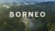 Древний остров Борнео / Borneo – Earth’s Ancient Eden (2019)