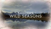 Времена года в дикой природе Америки 4 серия. Зима / America's Wild Seasons (2019)