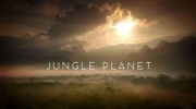 Планета джунглей 1 серия. Жизнь пробуждается / Jungle Planet (2017)