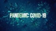 Пандемия: Коронавирус / Pandemic: Covid-19 (2020)