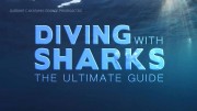 Дайвинг с акулами: полное руководство / Diving With Sharks: The Ultimate Guide (2017)