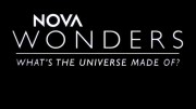 Из чего сделана наша Вселенная? / Nova Wonders: What's the Universe Made Of? (2018)