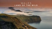 Уэльс: дикая земля 4 серия. Надвигается буря / Wales: The Land of the Wild (2018)