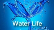 Водная жизнь / Water Life (2007)