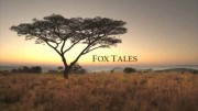 Лисьи истории / Fox Tales (2017)