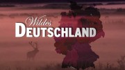 Дикая природа Германии 3 сезон 3 серия. В краю чистых озёр / Wildes Deutschland (2013)