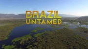 Дикая Бразилия 01 серия. Сад обезьян / Brazil Untamed (2016)