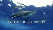 Великие океаны 3 сезон 04 серия. Жизнь в рамках пищевой цепи / Great Blue Wild (2018)