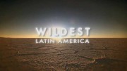 Дикая Латинская Америка 1 серия. Амазонка. Один лес, много миров / Wildest Latin America (2012)
