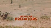 Эти удивительные хищники / Incredible Predators (2016)