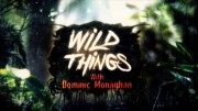 Доминик Монаган и дикие существа 1 сезон 08 серия. Гватемала. Ядозуб / Wild Things with Dominic Monaghan (2012)