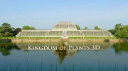 В королевстве растений 1 серия. Жизнь во влажном климате / Kingdom of Plants (2012)