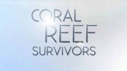 Выживание на коралловом рифе / Coral Reef Survivors (2019)