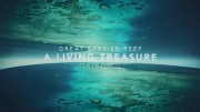 Большой Барьерный риф: Живое сокровище 2 серия. Коралловое побережье (Жизнь у побережья) / Great Barrier Reef: A Living Treasure (2020)