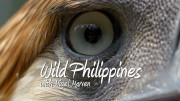 Дикие Филиппины с Найджелом Марвеном 1 серия. Лусон: вулканический север / Nigel Marven’s Wild Philippines (2017)