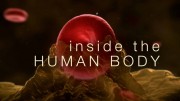 Внутри человеческого тела (1-4 серии из 4) / Inside the Human Body (2011) HD