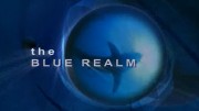 Океаническая Одиссея: В подводном царстве (9 серии из 9) / Ocean Odyssey: The Blue Realm (2004-2008)