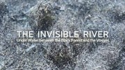 Незримая река между Шварвальдом и Вогезами / The Invisible River - Under Water between the Black Forest and the Vosges (2019)